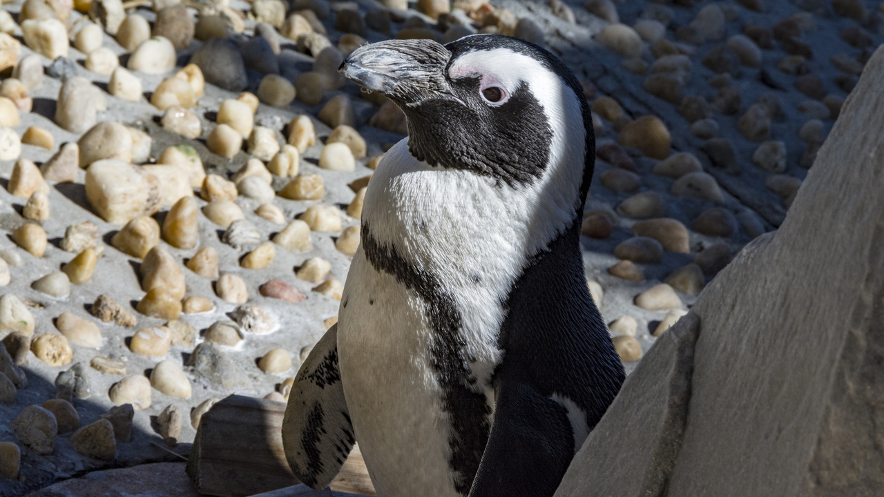 20160217-113941••Fort Walton Beach•Florida•USA